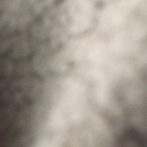 Meet your Posher, Blondy